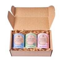 ZESTAW KWIATY POGODY 2_Dworzysk