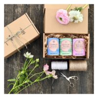 zestaw Kwiaty Pogody_Dworzysk