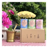 21_KWIATY POGODY zestaw_Dworzysk